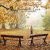 دانلود موسیقی بی کلام عشق پاییزی (Autumn Love)
