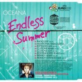 Endless Summer Official Song EURO 2012 3 picture