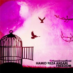 دانلود موسیقی بی کلام آزادی (Freedom)