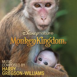 دانلود آلبوم موسیقی متن مستند پادشاهی میمون‌ها