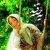 موسیقی فیلم یه حبه قند