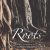 دانلود آلبوم موسیقی بی‌ کلام ریشه‌ها (roots)