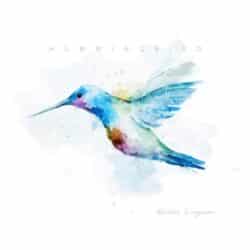 دانلود موسیقی بی کلام زرین بال (Hummingbird) اثر کندرا لوگوزار