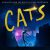دانلود آلبوم موسیقی متن فیلم گربه‌ها (Cats) اثر اندرو لوید وبر