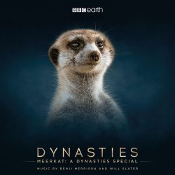 دانلود آلبوم موسیقی متن مستند میرکت یک خاندان ویژه (Meerkat a Dynasties Special) اثر بنجی مریسون
