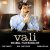 دانلود آلبوم موسیقی متن سریال فرماندار (Vali)