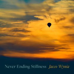 دانلود موسیقی بی کلام سکون بی پایان (Never Ending Stillness) اثر یاکو وینیا