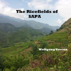 دانلود موسیقی بی کلام مزارع برنج ساپا (The Ricefields Of Sapa) اثر ولفگانگ ورکان