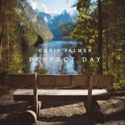 دانلود موسیقی بی کلام روز عالی (Perfect Day) اثر کریس پالمر