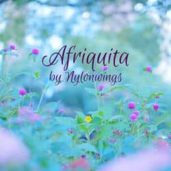 دانلود موسیقی بی کلام آفریکیتا (Afriquita) اثر نایلونوینگس