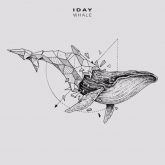 Iday Whale