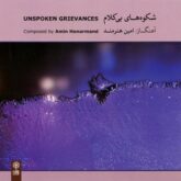 Amin Honarmand Unspoken Grievances Instrumental Album