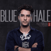 Omid Raiesdana Blue Whale Series Credit Music