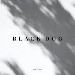 دانلود موسیقی بی کلام سگ سیاه (Black Dog) اثر اوتانمی