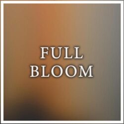 دانلود موسیقی بی کلام شکوفه کامل (Full Bloom) اثر مانلی جمال