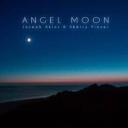 دانلود موسیقی بی کلام فرشته ماه (Angel Moon) اثر شری فینزر و جوزف آکینز