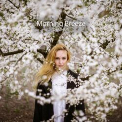 دانلود موسیقی بی کلام نسیم صبحگاهی (Morning Breeze) اثر دیاتون