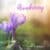 دانلود موسیقی بی کلام بیداری (Awakening) اثر پم آزبری