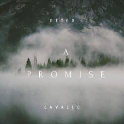 دانلود موسیقی بی کلام یک قول (A Promise) اثر پیتر کاوالو