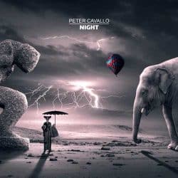 دانلود موسیقی بی کلام شب (Night) اثر پیتر کاوالو