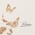 دانلود موسیقی بی کلام پروانه ها (Butterflies) اثر دین دوو