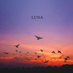 دانلود موسیقی بی کلام مهتاب (Luna) اثر مانلی جمال