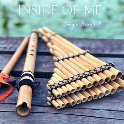 دانلود موسیقی بی کلام درون من (Inside of Me) اثر سانگره انسسترال