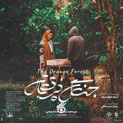 دانلود آهنگ تیتراژ فیلم جنگ پرتقال (The Orange Forest)