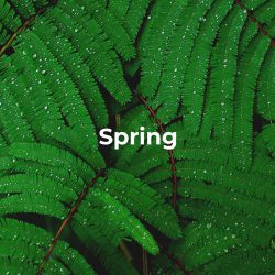 دانلود موسیقی بی کلام بهار (Spring)