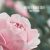 دانلود موسیقی بی کلام رز من (My Rose)