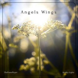 دانلود موسیقی بی کلام بالهای فرشتگان (Angels Wings)