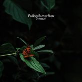 دانلود موسیقی بی کلام سقوط پروانه ها (Falling Butterflies)