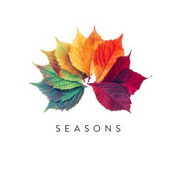 دانلود موسیقی بی کلام فصل ها (Seasons)