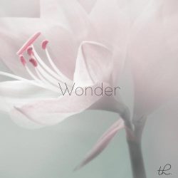 دانلود موسیقی بی کلام شگفت انگیز (Wonder)