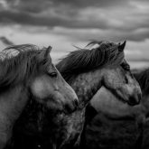 دانلود موسیقی بی کلام مسابقه برای تعلق
