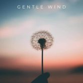 دانلود موسیقی بی کلام باد ملایم (Gentle Wind)