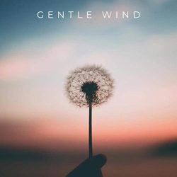 دانلود موسیقی بی کلام باد ملایم (Gentle Wind)