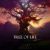 دانلود موسیقی بی کلام درخت زندگی (Tree of Life)