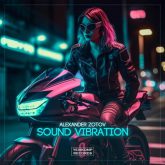دانلود موسیقی بی کلام ارتعاش صوت (Sound Vibration)