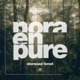 دانلود موسیقی بی کلام جنگل شروود (Sherwood Forest)