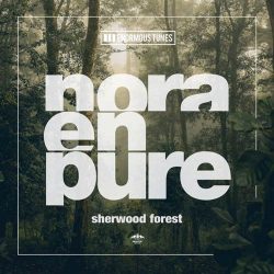 دانلود موسیقی بی کلام جنگل شروود (Sherwood Forest)