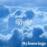 دانلود موسیقی بی کلام آسایش (Tröst)