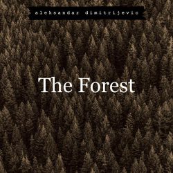 دانلود موسیقی بی کلام جنگل (The Forest)