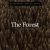 دانلود موسیقی بی کلام جنگل (The Forest)