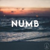 دانلود موسیقی بی کلام کرخت (Numb)