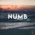 دانلود موسیقی بی کلام کرخت (Numb)