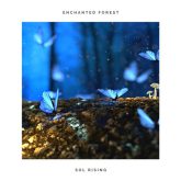 دانلود موسیقی بی کلام جنگل افسون شده (Enchanted Forest)