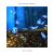 دانلود موسیقی بی کلام جنگل افسون شده (Enchanted Forest)