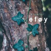 دانلود موسیقی بی کلام پیچک (Eføy)