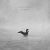 دانلود موسیقی بی کلام پرنده آبی (Waterbird)